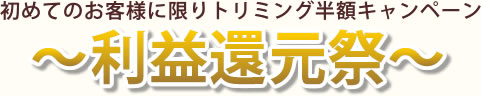 初めてのお客様に限りトリミング半額キャンペーン〜利益還元祭〜
